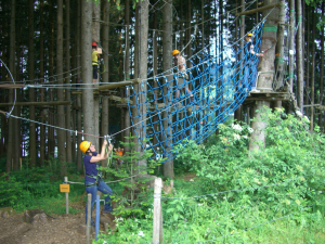 high-ropes-course-246113 1920